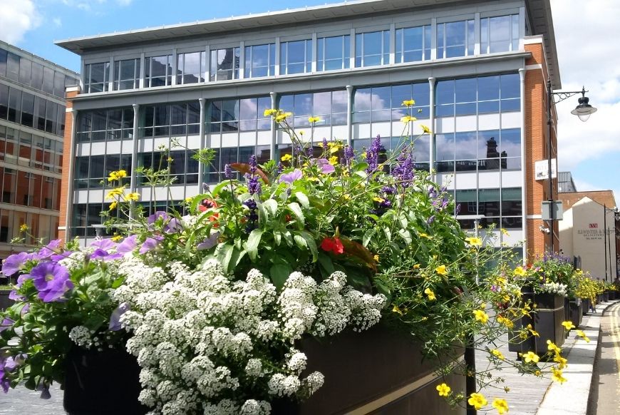 Floral displays in Reading